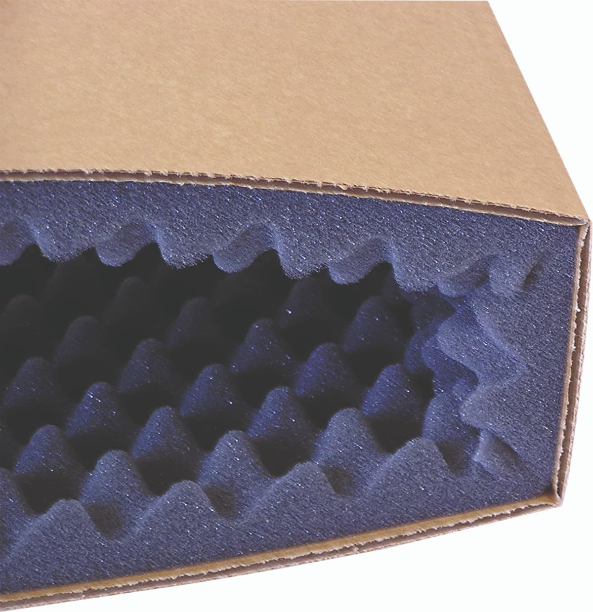 Schaumschiebeschachtel Nahansicht