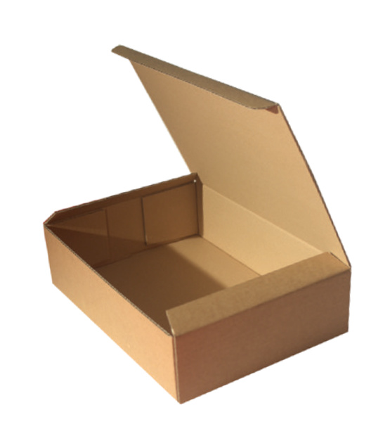 Stanzverpackung Fefco 0420